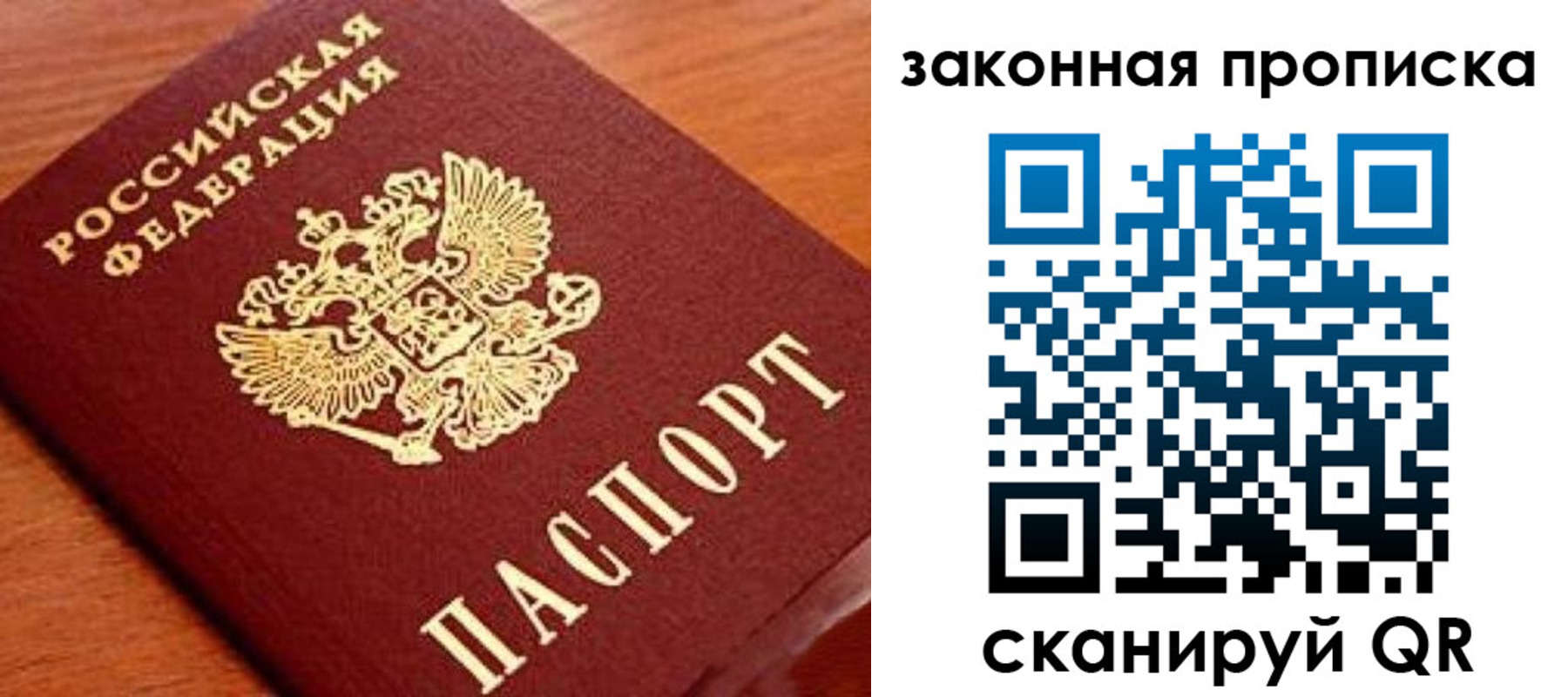 прописка в Камышине