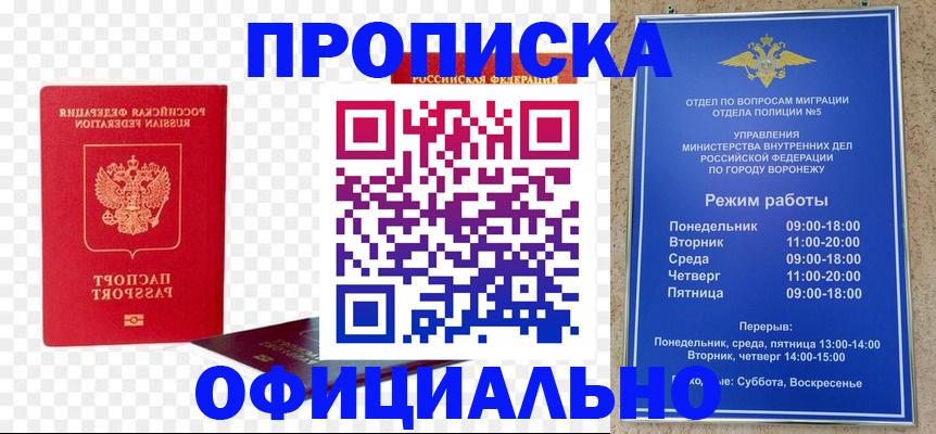 прописка иностранных граждан в Камышине