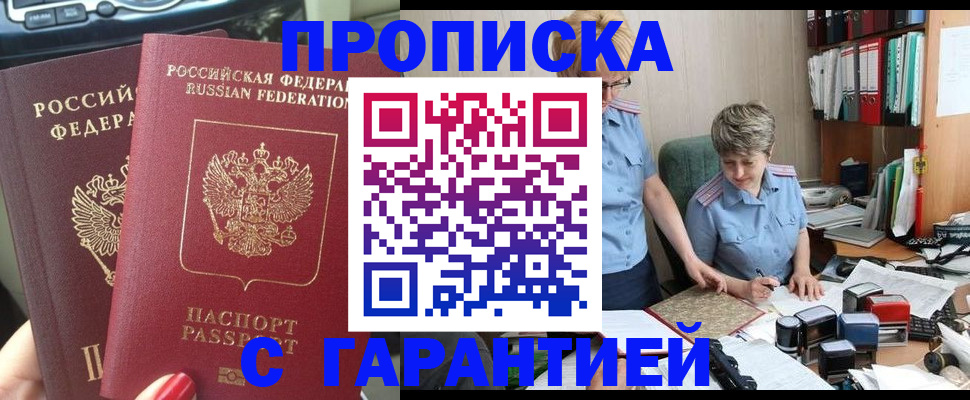 прописка поиск в Камышине